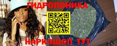 гидропоника Коммунар