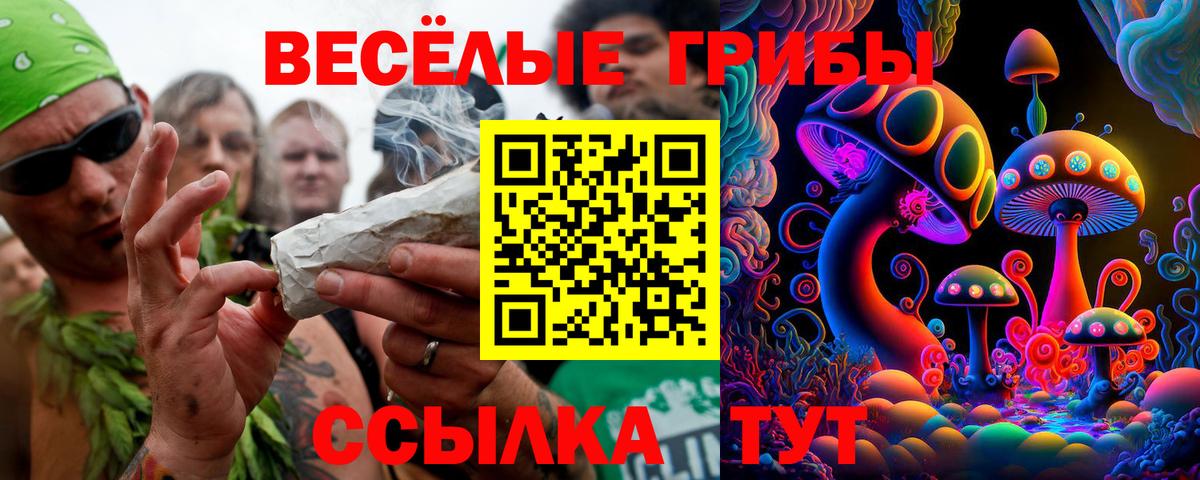 Псилоцибиновые грибы MAGIC MUSHROOMS  Псилоцибиновые грибы прущие грибы  Вход с VPN  Ишимбай 